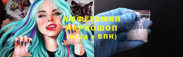 прущие грибы Няндома