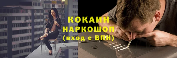 прущие грибы Няндома