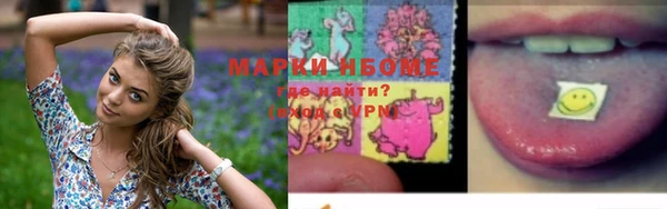 соль ск Новодвинск