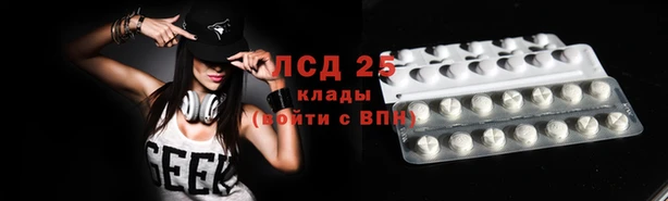 соль ск Новодвинск