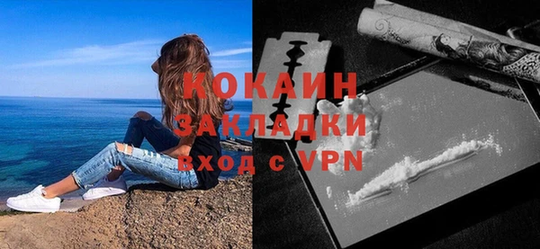 прущие грибы Няндома