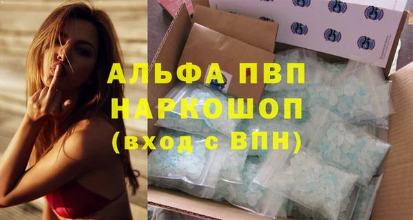 соль ск Новодвинск