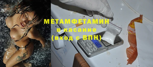 прущие грибы Няндома