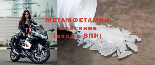 прущие грибы Няндома