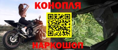 прущие крисы Донской